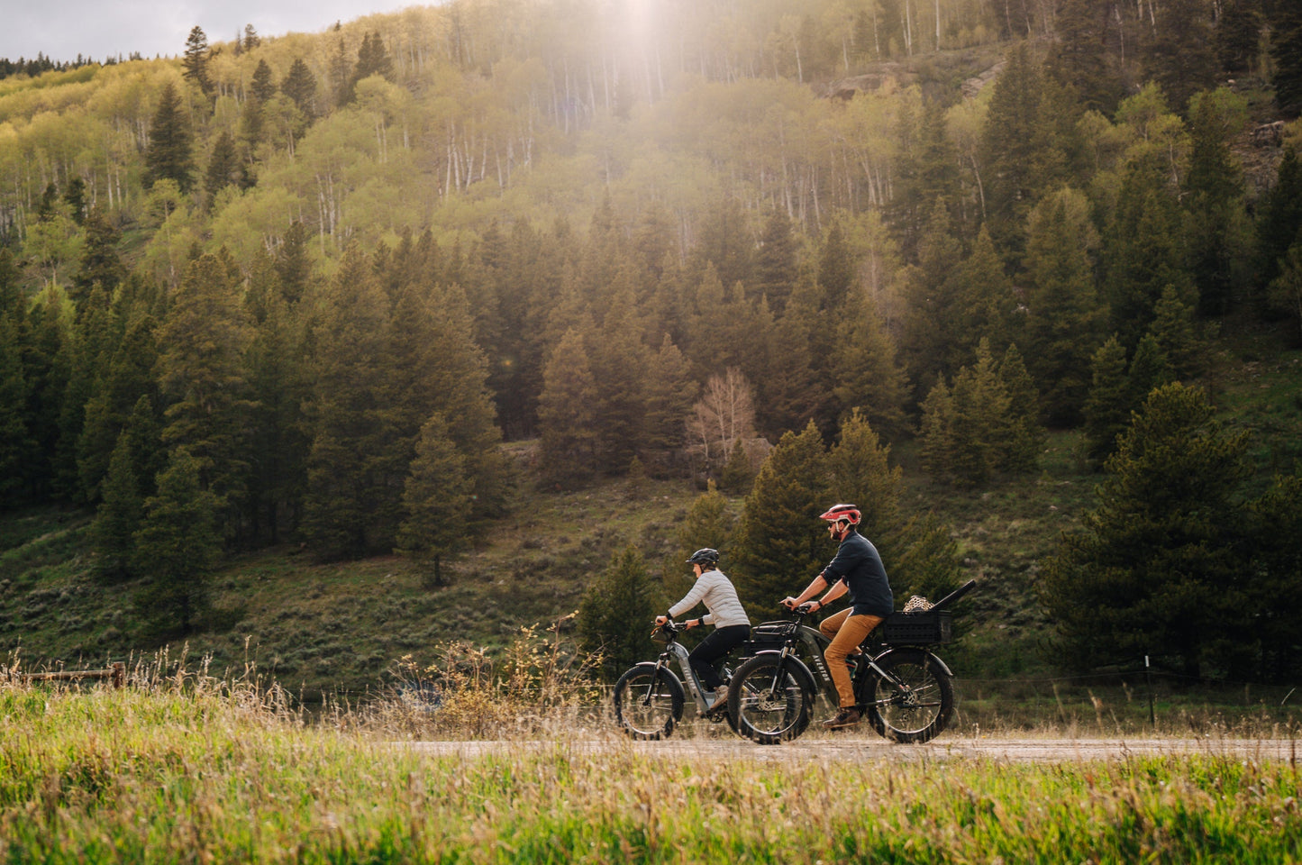 Aventure 2 Step-Through Ebike