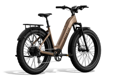 Aventure 3 Step-Through Ebike