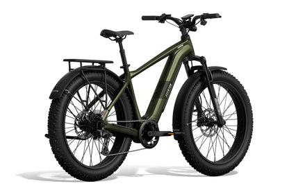 Aventure M Ebike