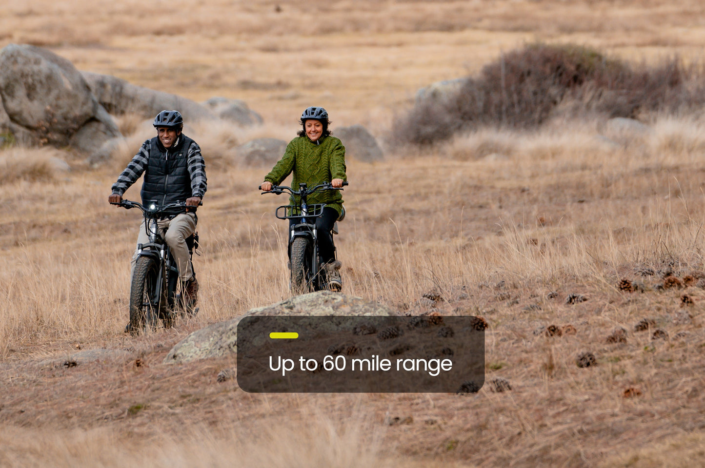 Test Product, Does Not Auto Cancel