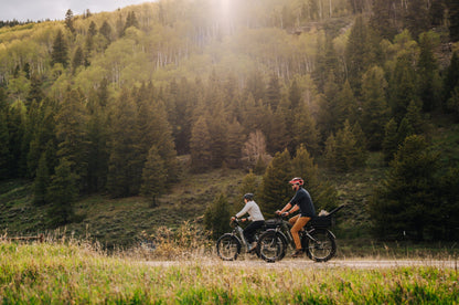 Aventure 2 Step-Through Ebike