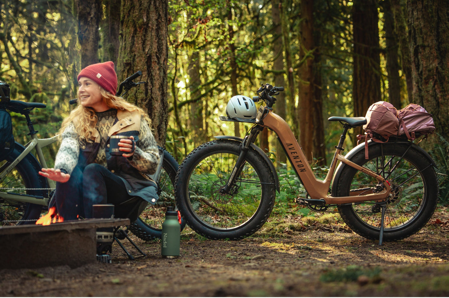 Aventure 3 Step-Through Ebike