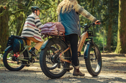 Aventure 3 Step-Through Ebike