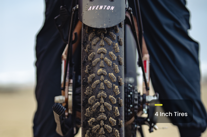 Aventure 3 Step-Through Ebike